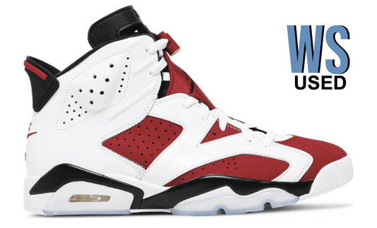 Jordan 6 Retro Carmine 2021