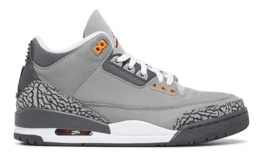 Jordan 3 Retro Cool Grey (2021)