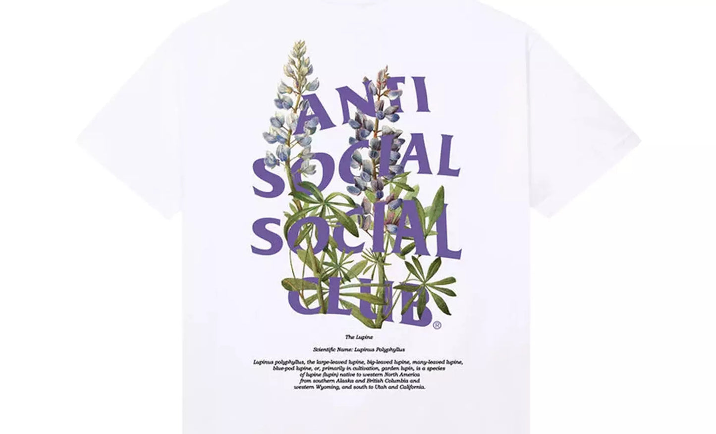 Anti Social Social Club White/Purple Lupine Tee